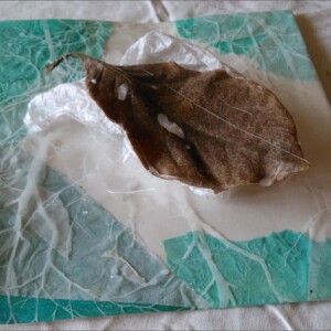 Atelier ados - collège 96