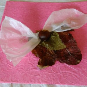 Atelier ados - collège 101