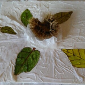 Atelier ados - collège 102