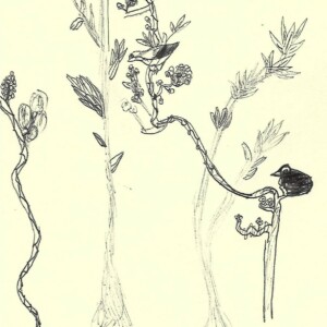 Atelier ados - collège 111