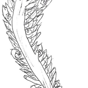 Atelier ados - collège 108