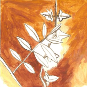 Atelier ados - collège 82