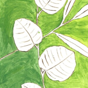 Atelier ados - collège 83