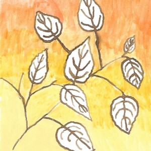 Atelier ados - collège 84