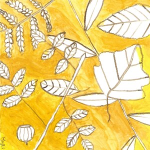 Atelier ados - collège 86