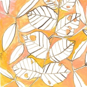 Atelier ados - collège 87