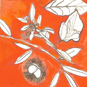 Atelier ados - collège 88