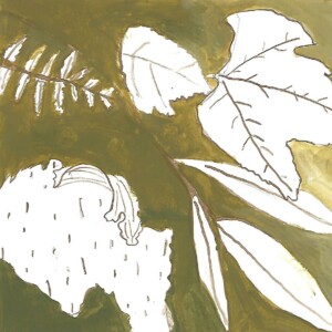 Atelier ados - collège 89