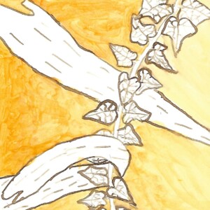 Atelier ados - collège 90