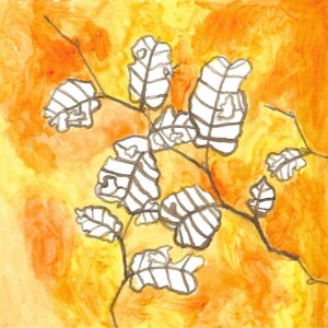 Atelier ados - collège 77