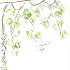 stage adulte avec l'atelier d'art esquisse, aquarelles-17