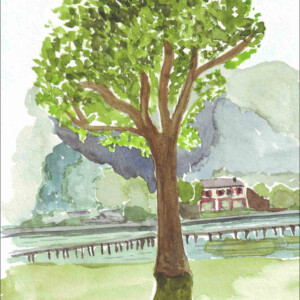 stage adulte avec l'atelier d'art esquisse, aquarelles-11