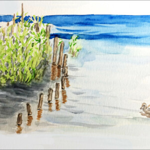 Aquarelles réalisées pendant le stage de l'atelier d'art esquisse été 2017-1