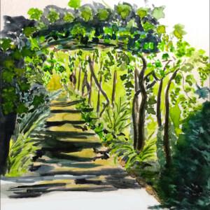 Aquarelles réalisées pendant le stage de l'atelier d'art esquisse été 2017-4