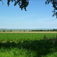 Stage été adultes avec l'atelier d'art esquisse de Rambouillet en Baie de Somme-20