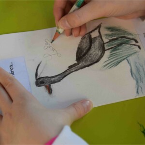 Dessins préparatoires stage enfants avec l'atelier d'art esquisse-6