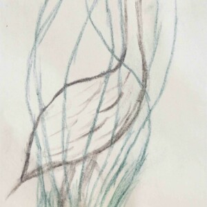 Dessins préparatoires stage enfants avec l'atelier d'art esquisse-2