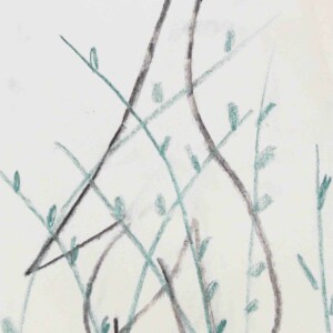 Dessins préparatoires stage enfants avec l'atelier d'art esquisse-1