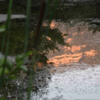 Stage adultes été 2017 avec l'atelier d'art esquisse de Rambouillet-23