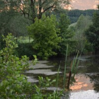 Stage adultes été 2017 avec l'atelier d'art esquisse de Rambouillet-22