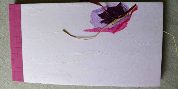 Atelier d'art esquisse de Rambouillet-livre d'artiste-D