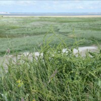 Stage été adultes avec l'atelier d'art esquisse de Rambouillet en Baie de Somme-sortie en Baie