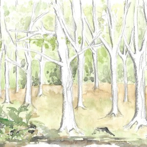 telier d'art esquisse adulte de Rambouillet -travaux sur la forêt 2017-8