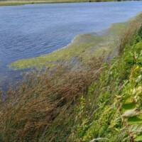 Stage été adultes avec l'atelier d'art esquisse de Rambouillet en Baie de Somme-11