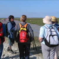Stage été adultes avec l'atelier d'art esquisse de Rambouillet en Baie de Somme-10