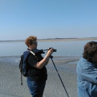 Stage été adultes avec l'atelier d'art esquisse de Rambouillet en Baie de Somme-2