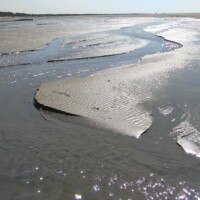 Stage été adultes avec l'atelier d'art esquisse de Rambouillet en Baie de Somme-1