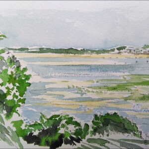 Aquarelles réalisées pendant le stage adultes de latelier d'art esquisse 2016-1