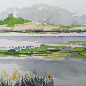 Aquarelles réalisées pendant le stage adultes de latelier d'art esquisse 2016-7