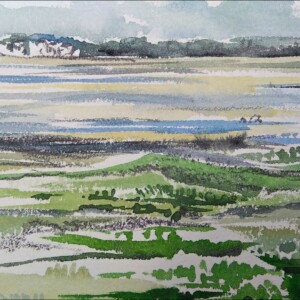Aquarelles réalisées pendant le stage adultes de latelier d'art esquisse 2016-5