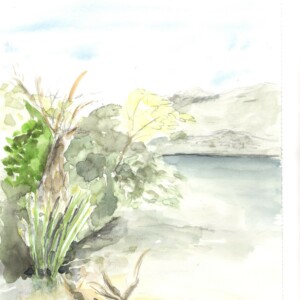 stage adulte avec l'atelier d'art esquisse, aquarelles-1