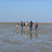 Stage été adultes avec l'atelier d'art esquisse de Rambouillet en Baie de Somme-sortie en Baie avec sylvain duvanel