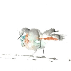 Monotypes réalisés par l'atelier d'art esquisse adultes