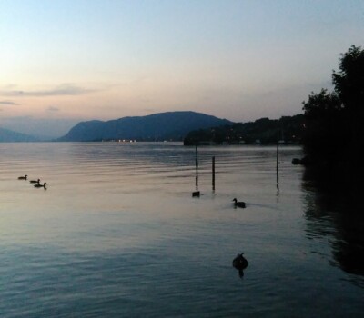 Stage d'été del'atlier dart esquisse 2018