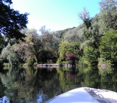 Stage d'été del'atlier dart esquisse 2018