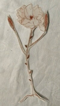 l'atelier ados atelier d'art esquisse Rambouillet