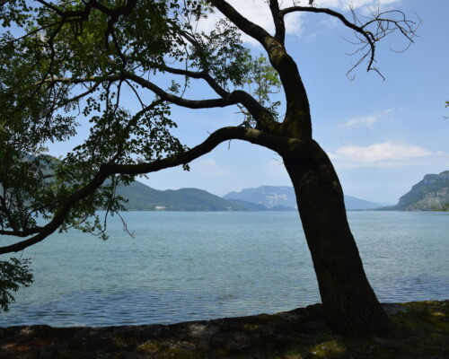 Stage adultes été 2019 16