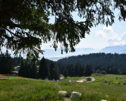 Stage adultes été 2019 37