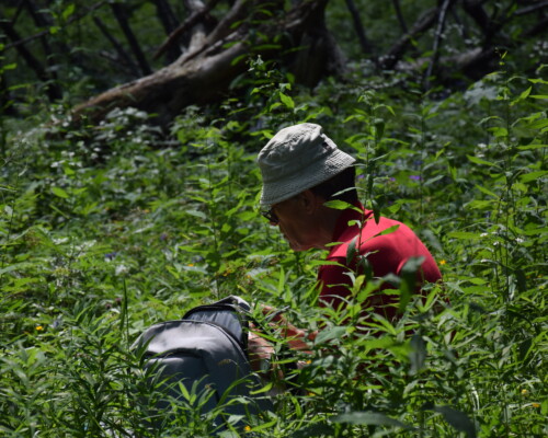 Stage adultes été 2019 36