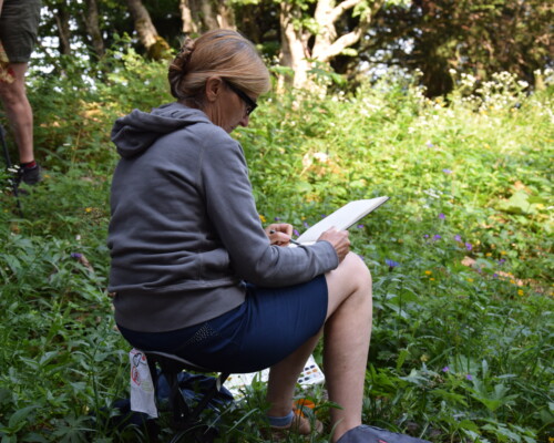 Stage adultes été 2019 35