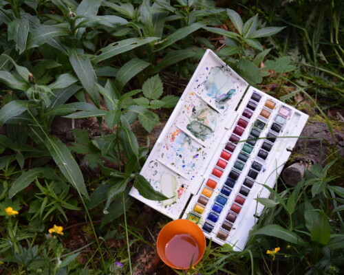 Stage adultes été 2019 30