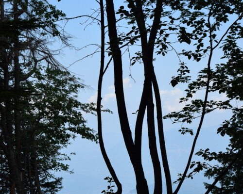 Stage adultes été 2019 38