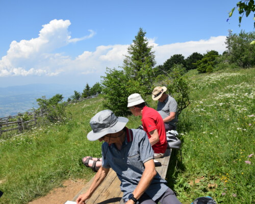 Stage adultes été 2019 42