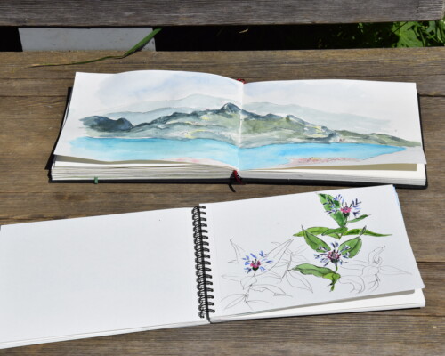 Stage adultes été 2019 40