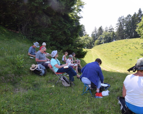 Stage adultes été 2019 41
