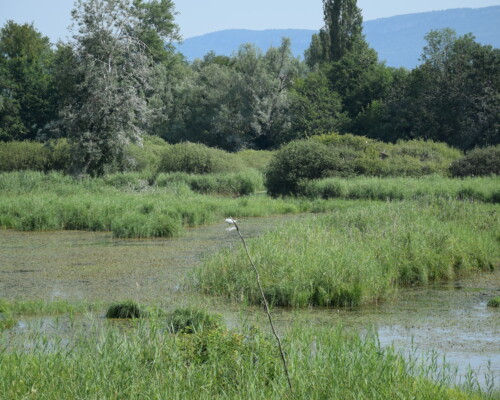 Stage adultes été 2019 50